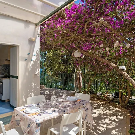 Blueandgreen Apartment Amalfi Coast Maiori Exterior photo